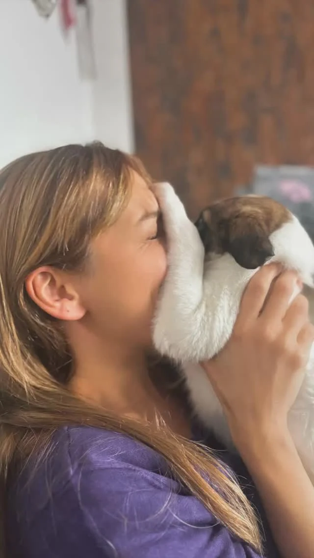 ⁣
HAPPINESS IS A WARM PUPPY.⁣
-Charles M. Schulz-⁣
⁣
🩷💜❤️🧡💛⁣
⁣
#silkenwindsprite #puppylove