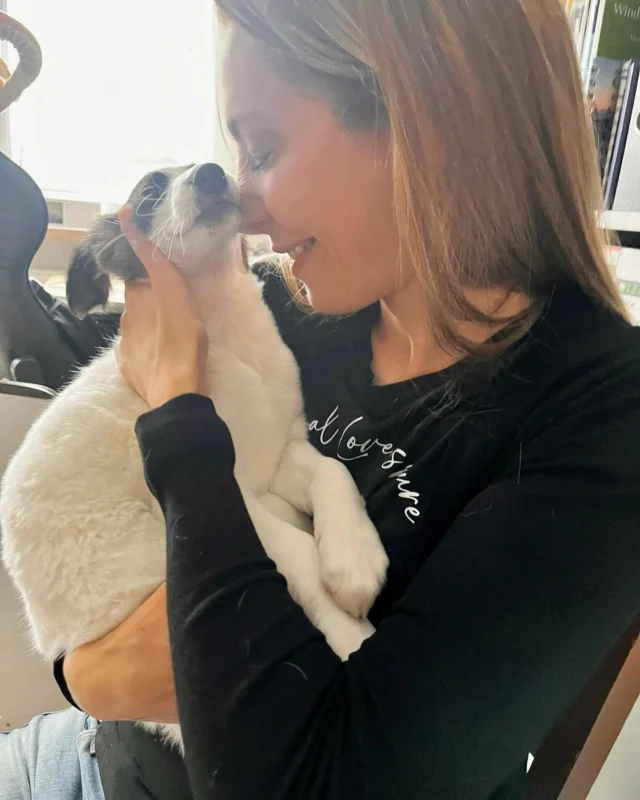 A dog will teach you unconditional love.⁣
If you can have that in your life, ⁣
things won’t be too bad.⁣
⁣
-Robert Wagner-⁣
⁣
♥️🤍♥️🤍♥️⁣
⁣
🤍Nami🤍⁣
⁣
#puppylove #silkenwindsprite